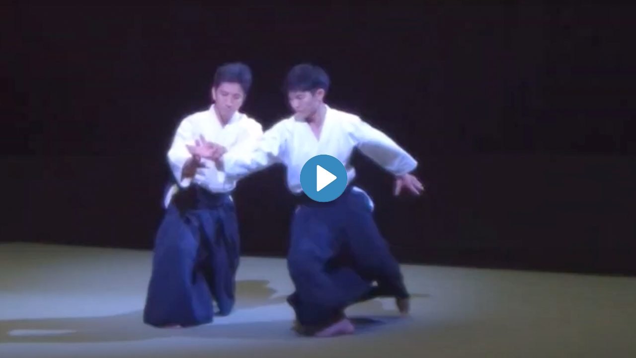 片手取り小手返し 自由視点