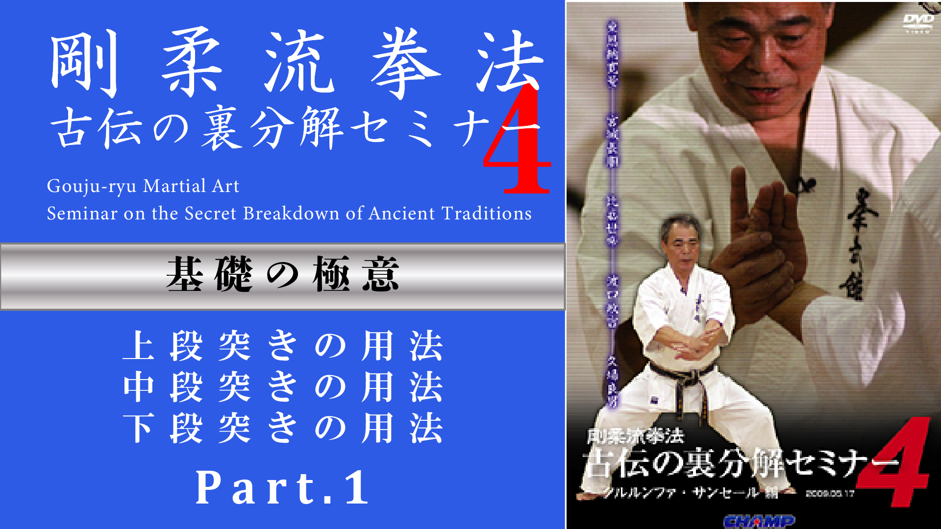 剛柔流拳法 古伝の裏分解セミナー4 ~サンセール・クルルンファ編~ Part